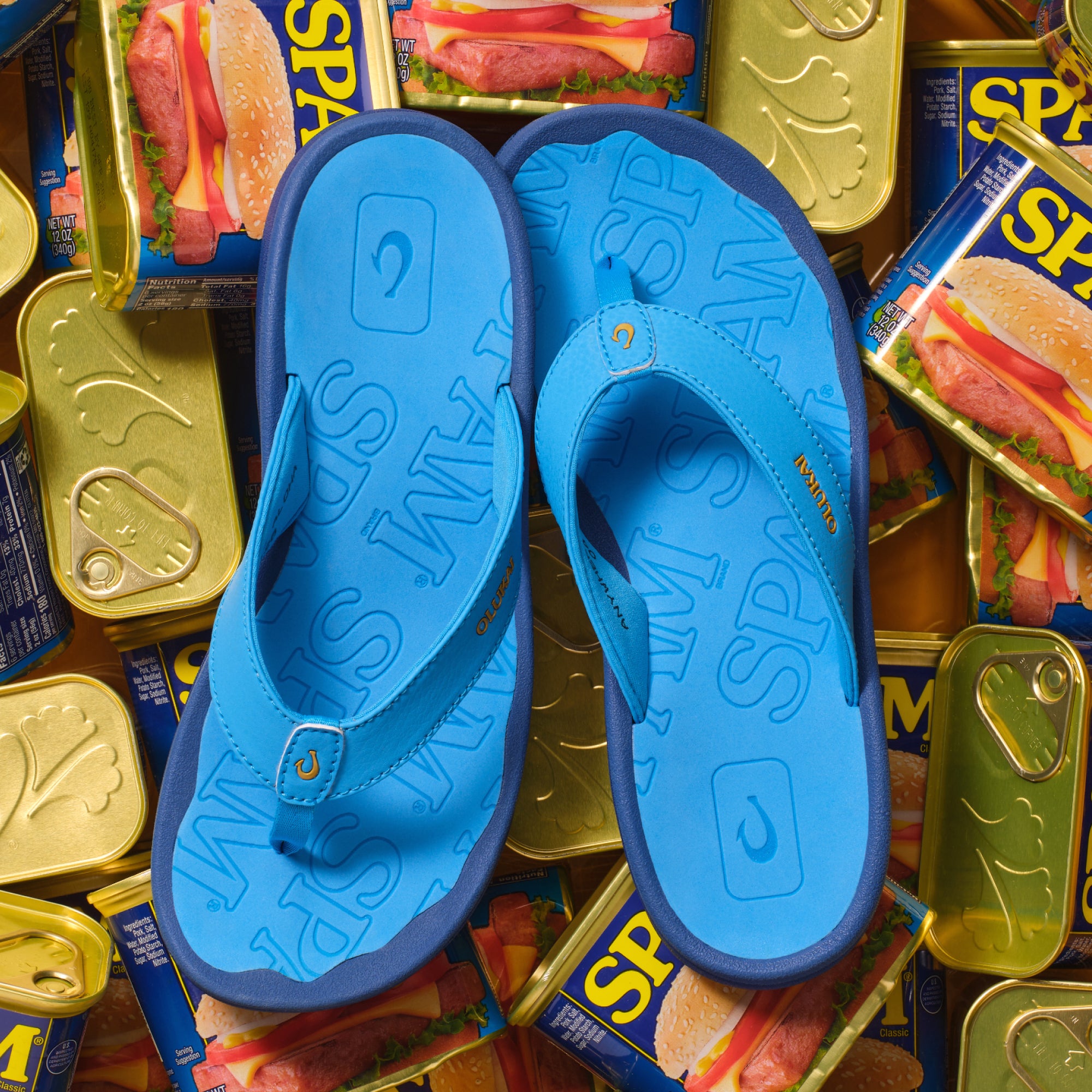 'Ohana - Bold Blue / Bold Blue - Image 6