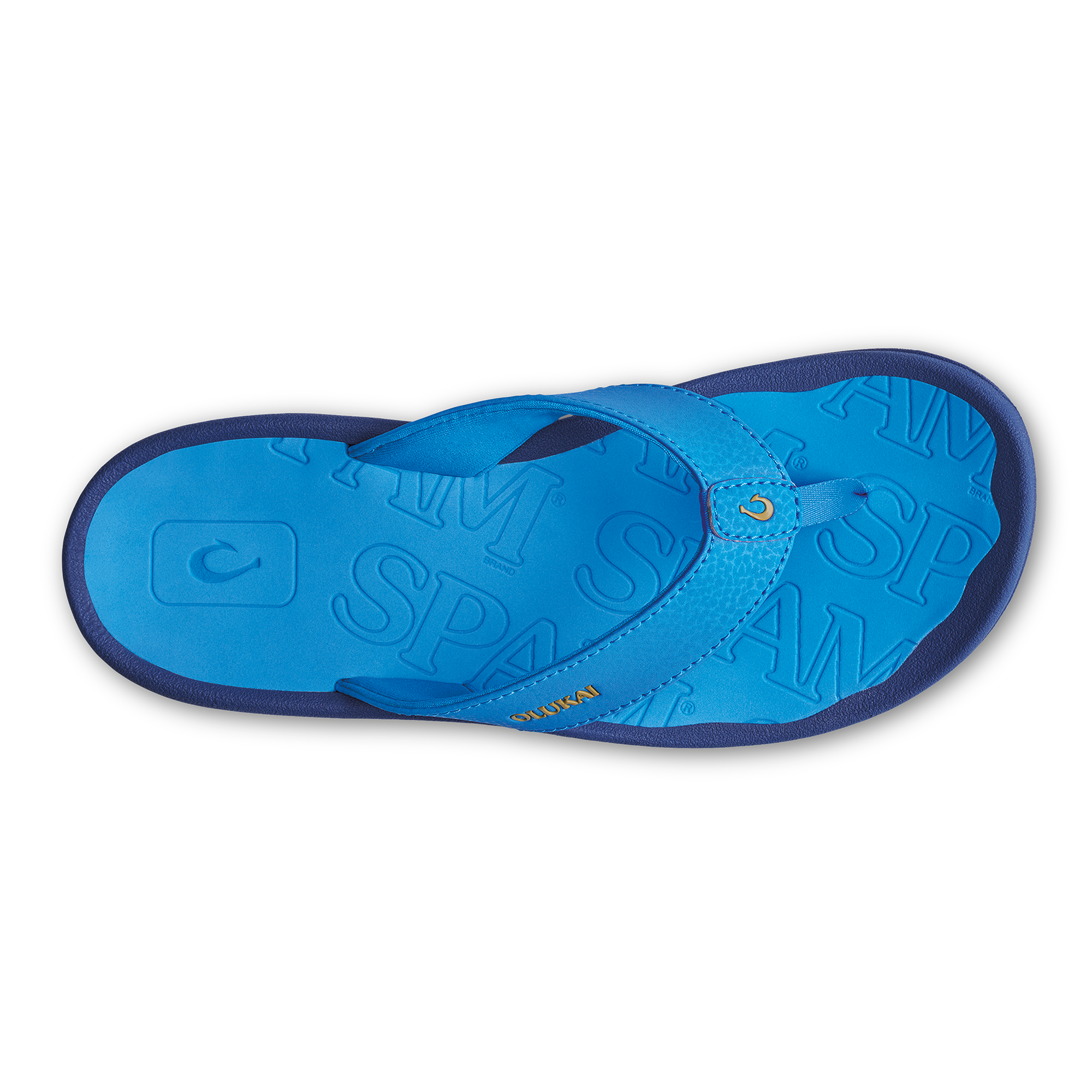 'Ohana - Bold Blue / Bold Blue - Image 5